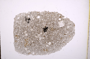 Plane Polarized, E4800