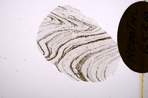 Plane Polarized, E4822