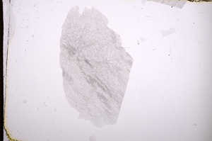 Plane Polarized, E4844