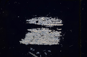 Cross Polarized, E4856