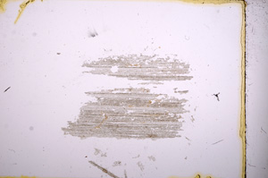 Plane Polarized, E4856