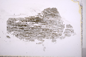 Plane Polarized, E4861