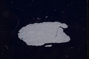 Cross Polarized, E4873