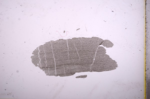 Plane Polarized, E4873