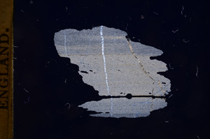 Cross Polarized, E4874