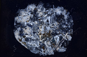Cross Polarized, E4889