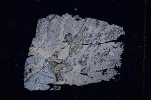 Cross Polarized, E4898