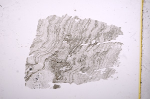 Plane Polarized, E4898