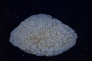 Cross Polarized, E4918