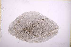 Plane Polarized, E4918