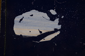 Cross Polarized, E4919