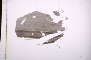 Plane Polarized, E4919