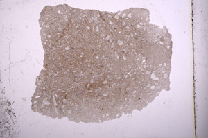 Plane Polarized, E4937