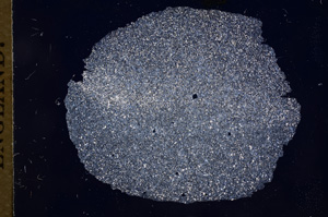 Cross Polarized, E4939
