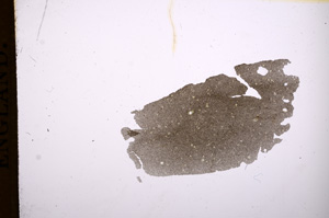 Plane Polarized, E4948