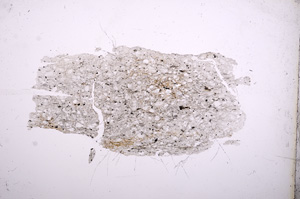 Plane Polarized, E4953