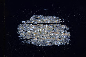 Cross Polarized, E4963
