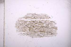 Plane Polarized, E4963