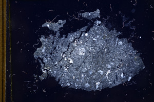 Cross Polarized, E4969