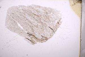 Plane Polarized, E4971
