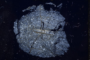 Cross Polarized, E4972