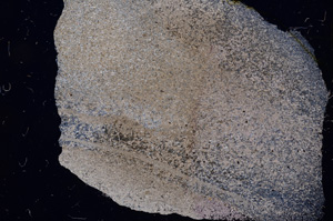 Cross Polarized, E4998