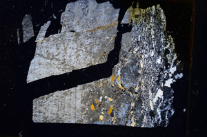 Cross Polarized, E5023