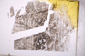 Plane Polarized, E5023