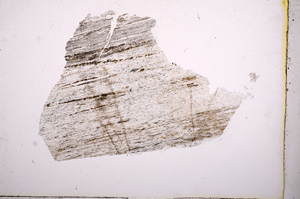 Plane Polarized, E5058