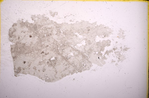 Plane Polarized, E5070
