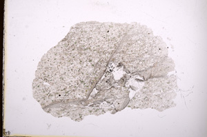 Plane Polarized, E5085