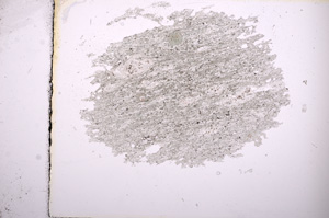 Plane Polarized, E5089