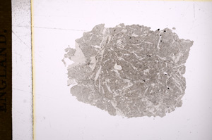 Plane Polarized, E5091