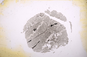 Plane Polarized, E5092