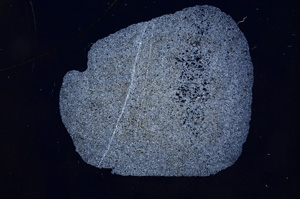 Cross Polarized, E5122