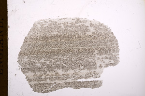 Plane Polarized, E5026
