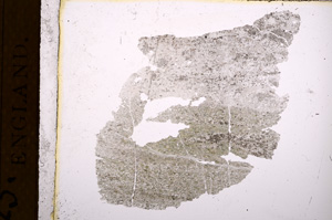 Plane Polarized, E5027