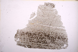 Plane Polarized, E5032