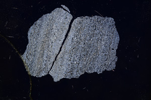 Cross Polarized, E5062
