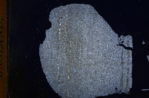 Cross Polarized, E5066