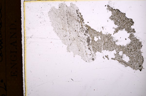 Plane Polarized, E5068