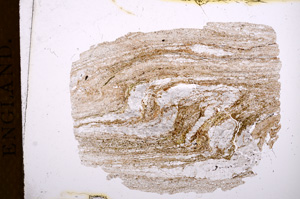 Plane Polarized, E5082