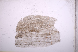 Plane Polarized, E5084