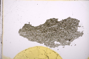 Plane Polarized, E5087