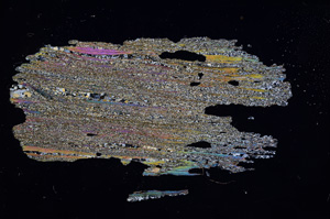 Cross Polarized, E5088