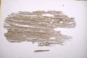 Plane Polarized, E5088