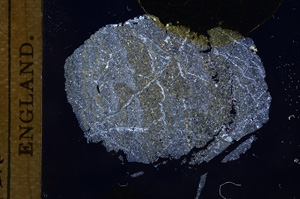 Cross Polarized, E5096