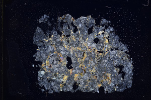 Cross Polarized, E5098