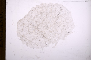 Plane Polarized, E5104