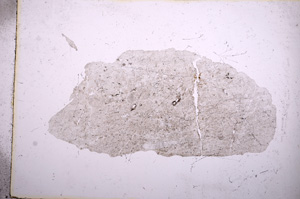 Plane Polarized, E5105